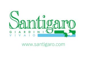 250-Santigaro_Page_1